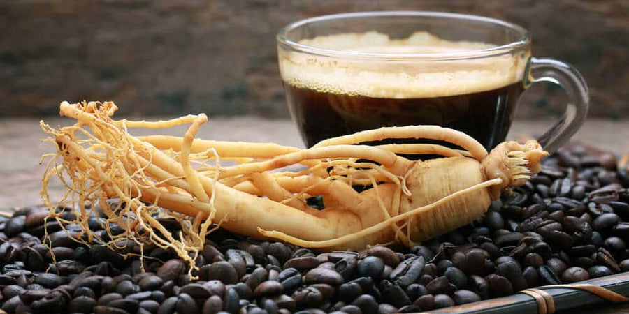 GINSENG